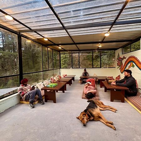 Eevolve Dharamkot - An Eco Hostel McLeod Ganj Exteriér fotografie