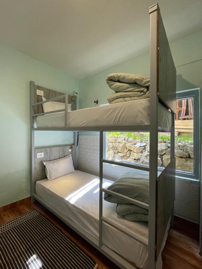 Eevolve Dharamkot - An Eco Hostel McLeod Ganj Exteriér fotografie