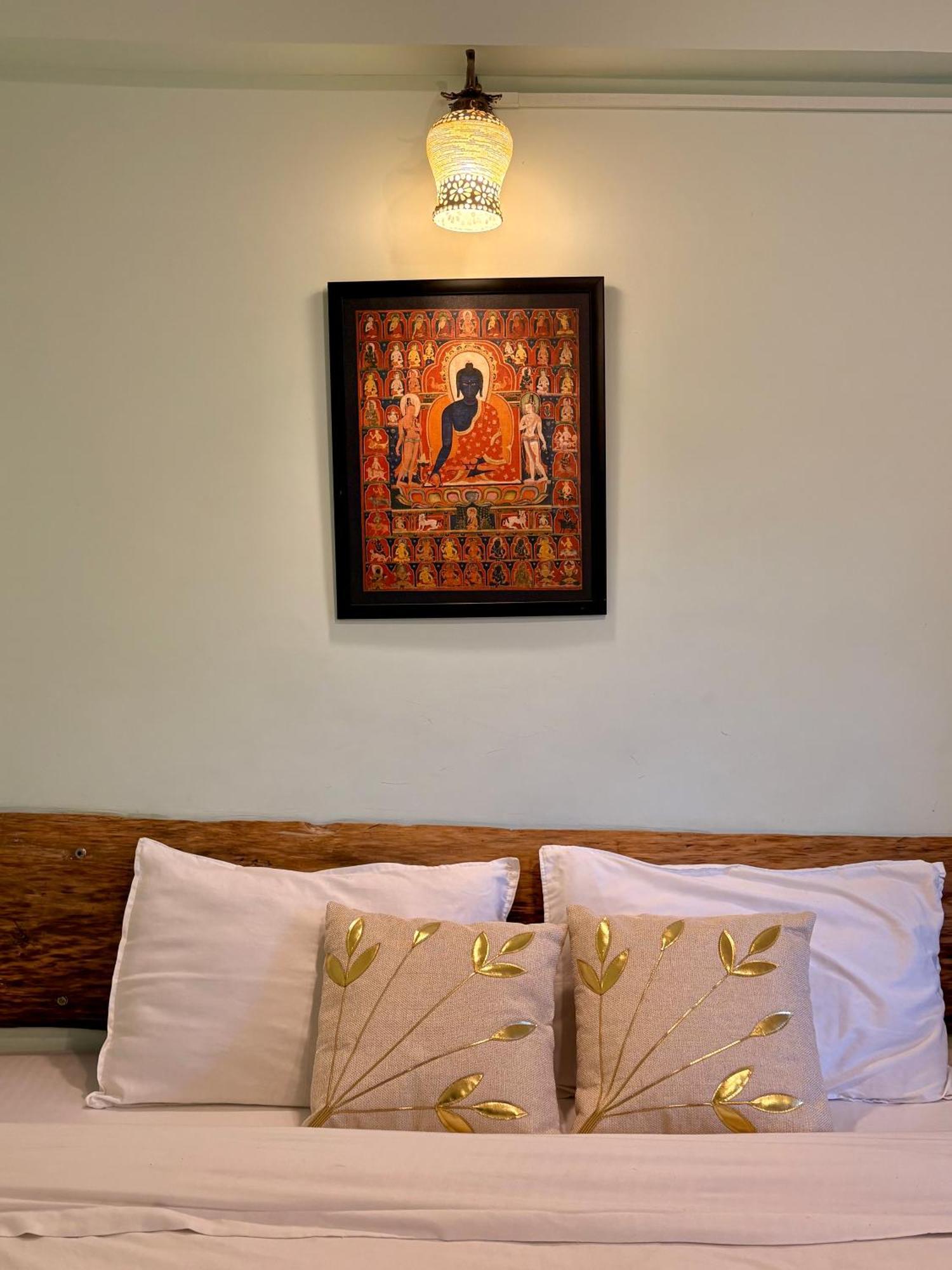 Eevolve Dharamkot - An Eco Hostel McLeod Ganj Exteriér fotografie