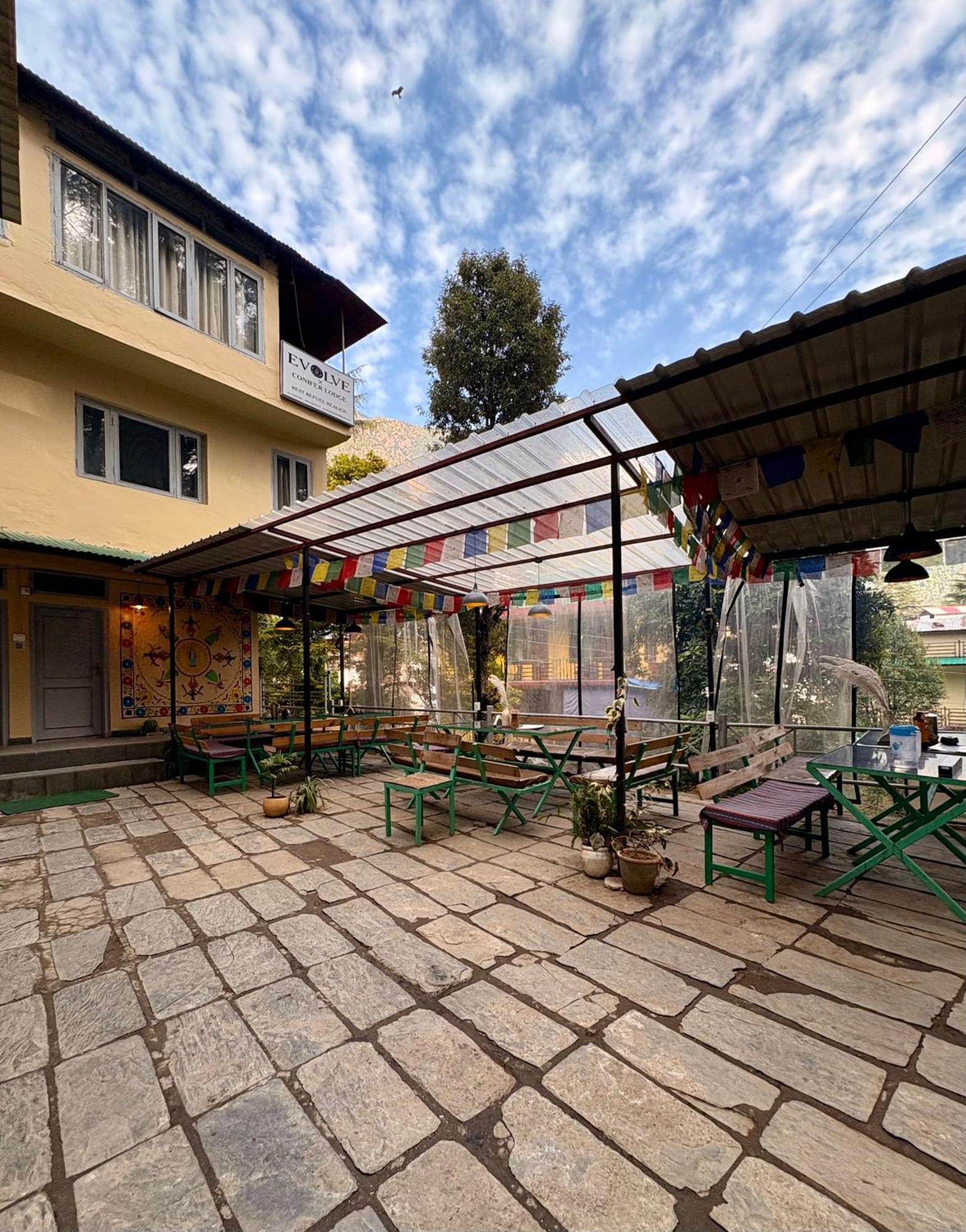 Eevolve Dharamkot - An Eco Hostel McLeod Ganj Exteriér fotografie